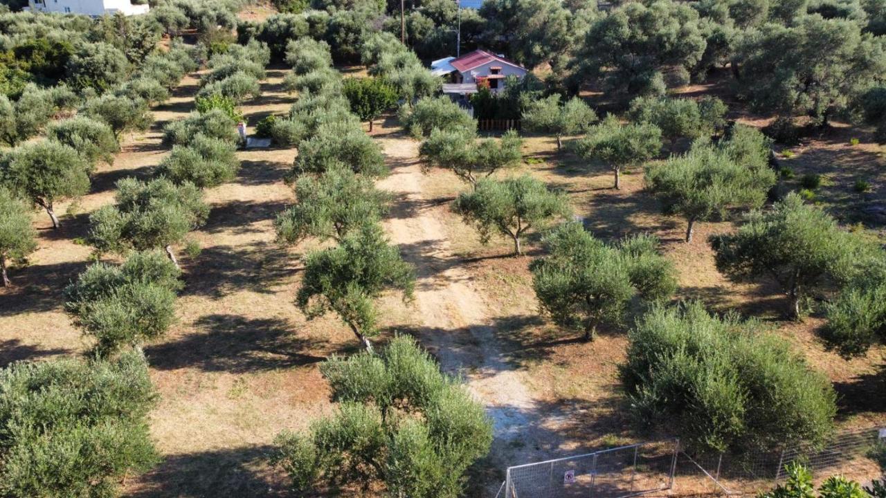 Olea Cottage Galatas  Exterior photo