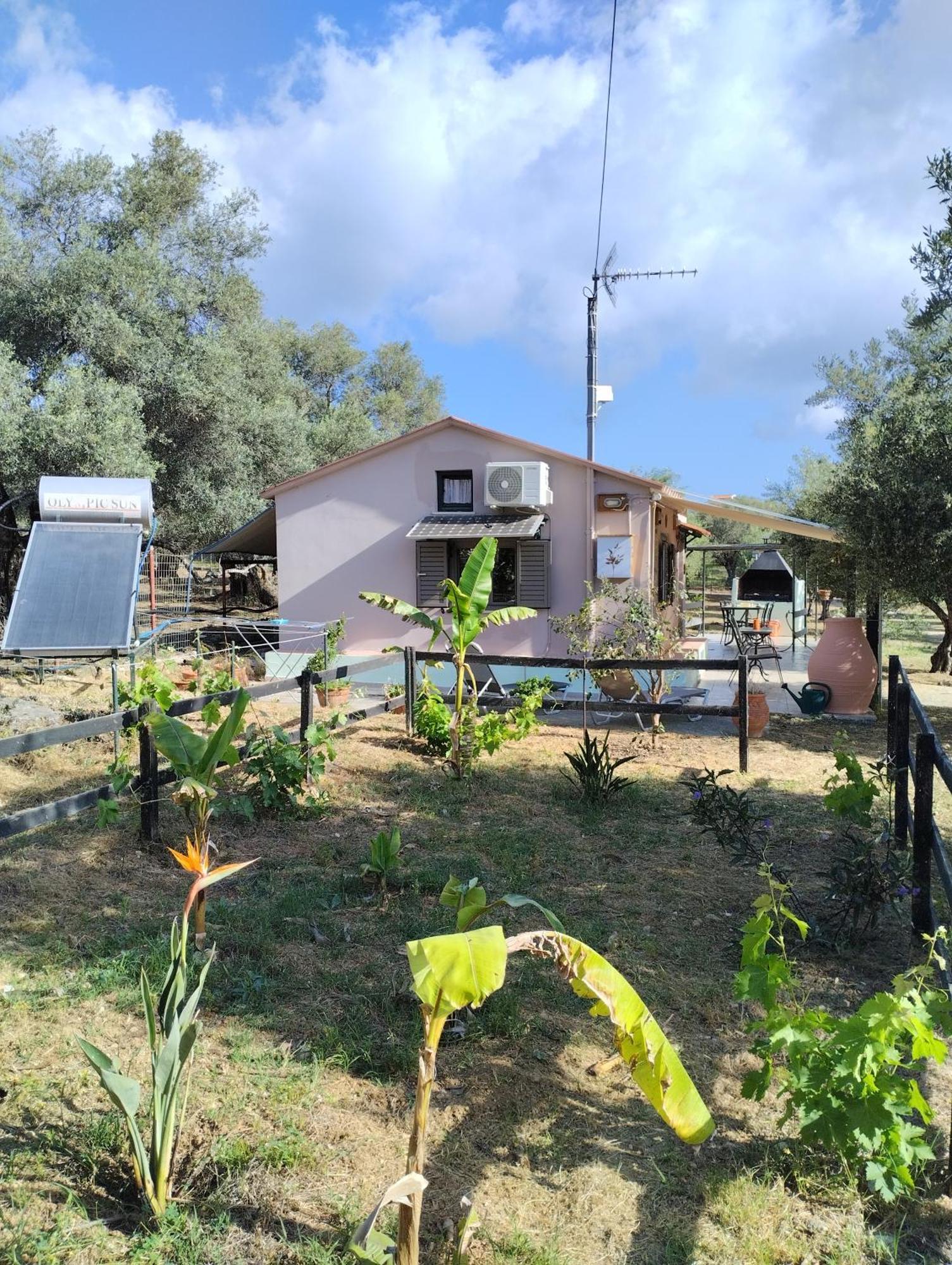 Olea Cottage Galatas  Exterior photo